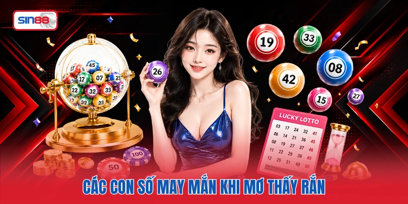 Các con số may mắn khi mơ thấy rắn