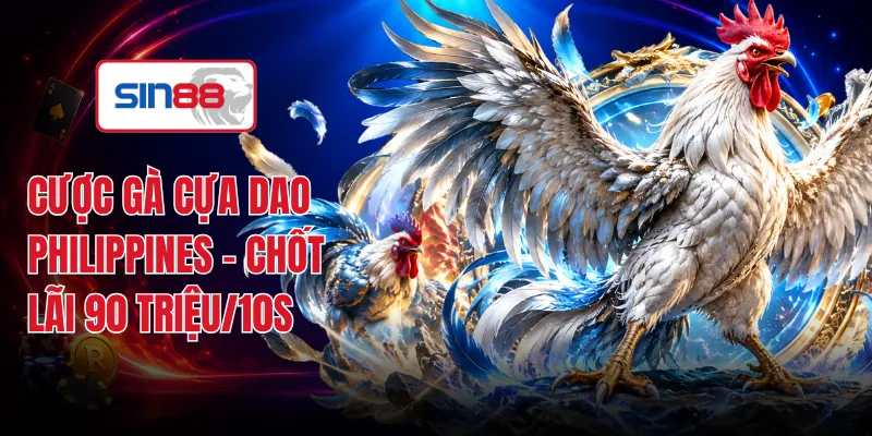 Cược Gà Cựa Dao Philippines