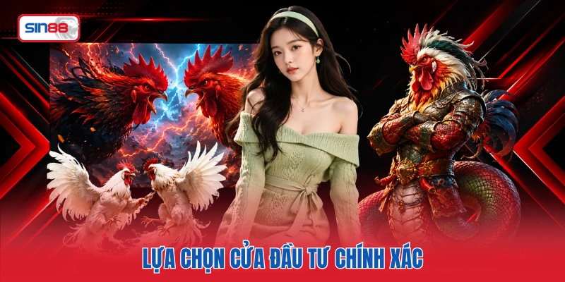 Lựa chọn cửa đầu tư chính xác