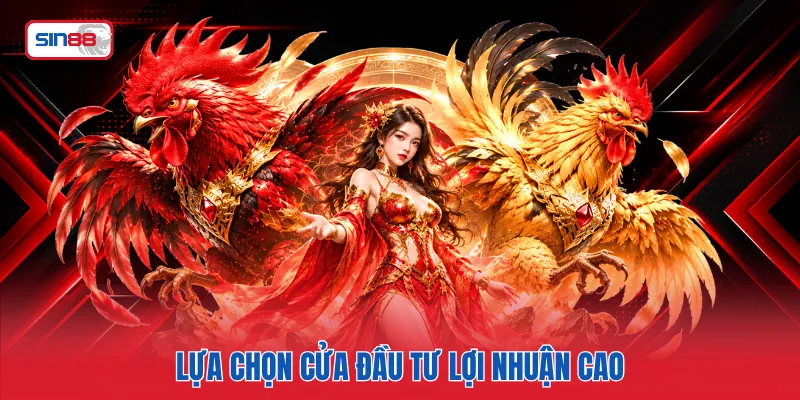 Lựa chọn cửa đầu tư lợi nhuận cao
