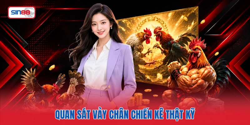 Quan sát vảy chân chiến kê thật kỹ