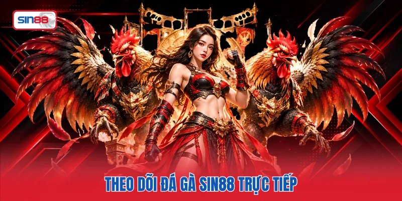 Theo dõi đá gà SIN88 trực tiếp